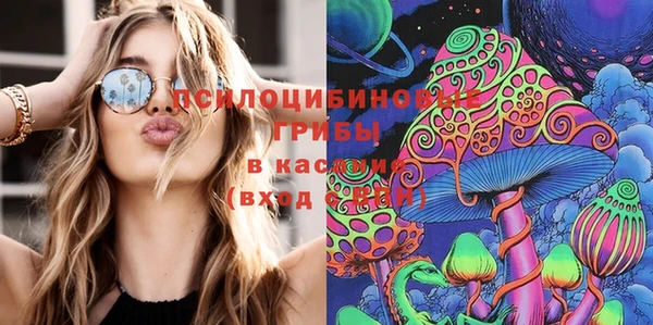 apvp Алзамай