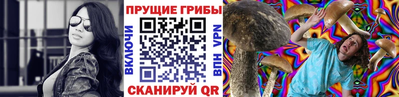 что такое   Берёзовский  Псилоцибиновые грибы мицелий 